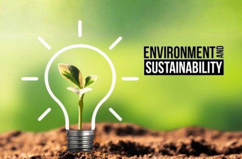 environment & sustainability